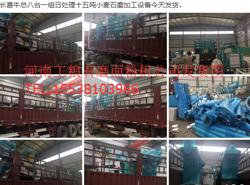長(zhǎng)葛?？偘伺_(tái)一組日處理十五噸小麥?zhǔn)ゼ庸っ娣蹤C(jī)設(shè)備今天發(fā)貨